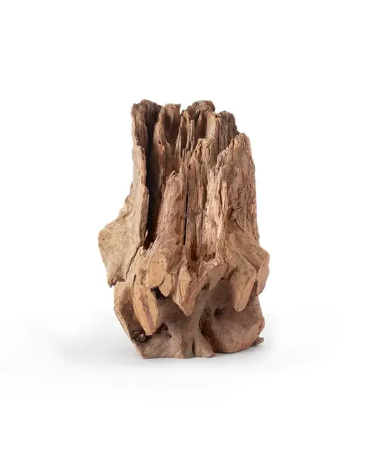 Galapagos GALAPAGOS GA-05550 Cachette bûche creuse 6-8"