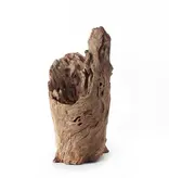 Galapagos GALAPAGOS GA-05550 Cachette bûche creuse 6-8"