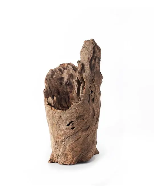 Galapagos GALAPAGOS GA-05550 Cachette bûche creuse 6-8"