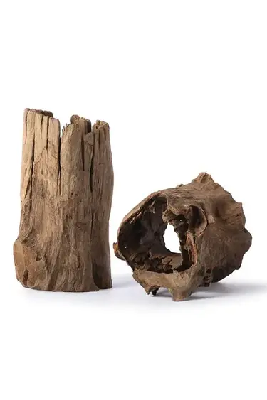 Galapagos GALAPAGOS GA-05550 Cachette bûche creuse 6-8"