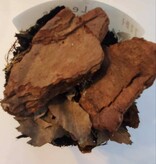 La Swamp Cloporte - Isopod Porcellio laevis Dairy Cow (15)