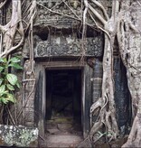 Galapagos GALAPAGOS GA-05420 Arrière-plan Temple 15x36''