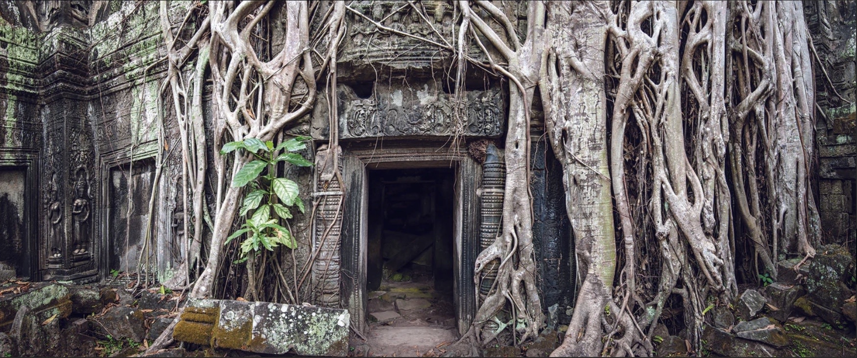 Galapagos GALAPAGOS GA-05420 Arrière-plan Temple 15x36''