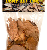 Zoomed Feuilles naturelles de jacquier pour terrarium - Terrarium Leaf Litter natural Jackfruit Leaves