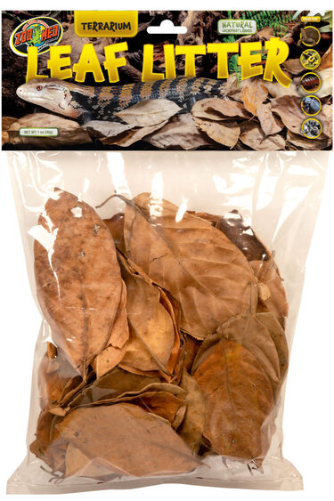 Zoomed Feuilles naturelles de jacquier pour terrarium - Terrarium Leaf Litter natural Jackfruit Leaves