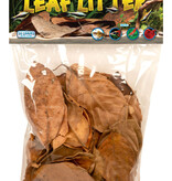 Zoomed Feuilles de litière pour aquarium Feuilles de jacquier (Artocarpus heterophyllus)Aquarium Leaf Litter Jackfruit leaves (Artocarpus heterophyllus)