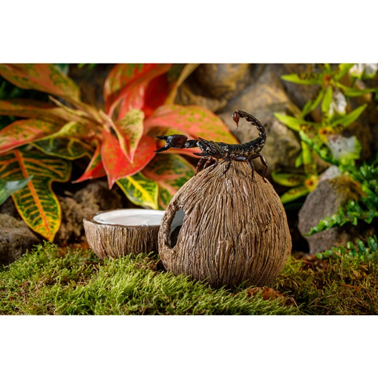 Exoterra Coconut-shaped hiding place and water bowl