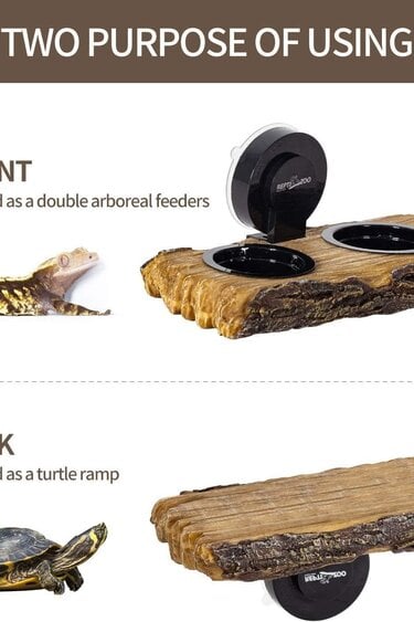 ReptiZoo Rampe à tortues et mangeoire arboricole 2 en 1 - 2 IN 1 Turtle Ramp and Arboreal Feeder