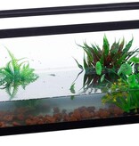 ReptiZoo REPTIZOO RZ-TB09 Rampe à tortues et mangeoire arboricole 2 en 1