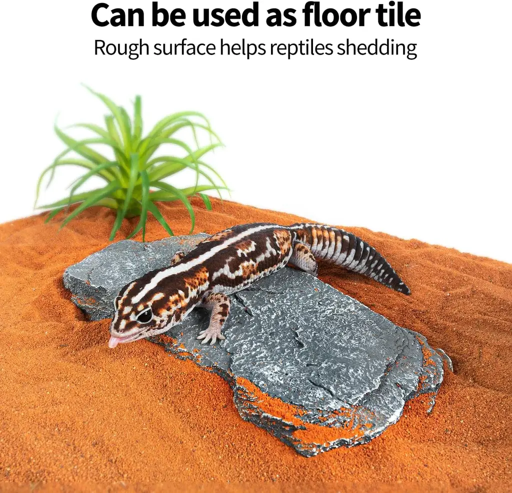 ReptiZoo REPTIZOO RZ-ERS74 Pierres d'ardoise multifonctions en 7 pièces (1 grande pierre et 6 petites pierres)