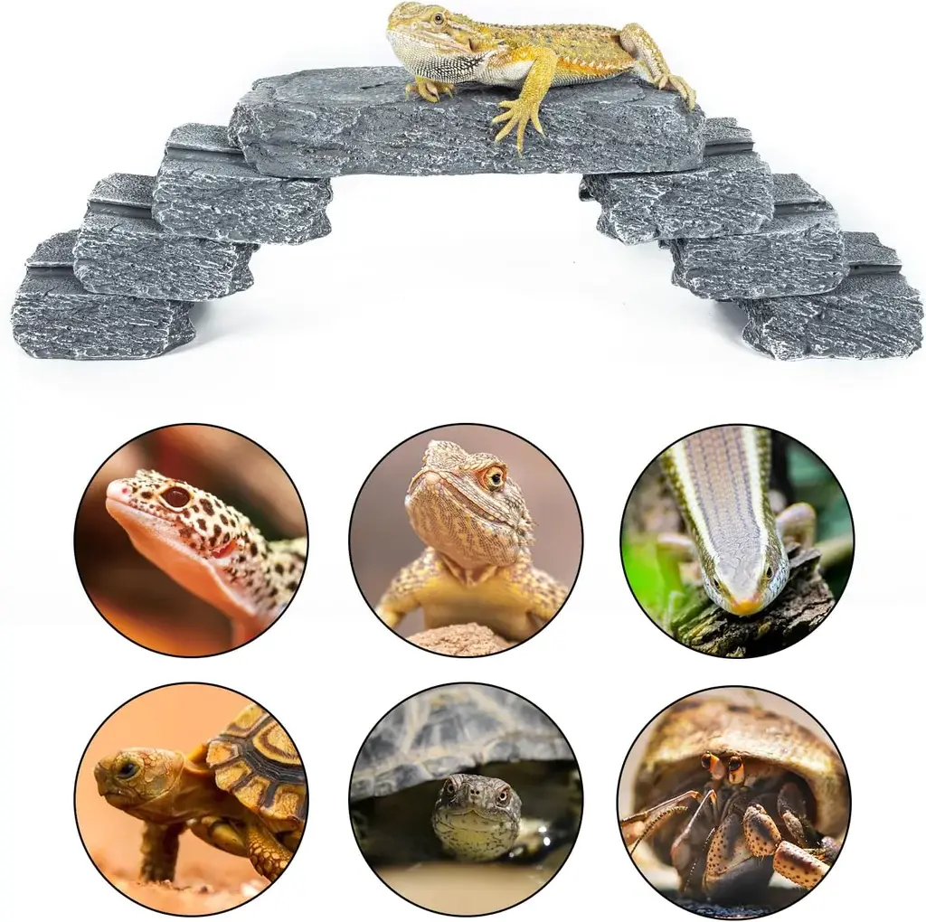 ReptiZoo Multi-Function 7-Piece Slate Stones (1 large stone & 6 small stones)