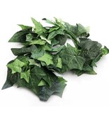 ReptiZoo Boston Ivy Vine 75"