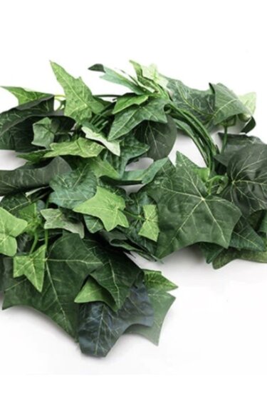 ReptiZoo Boston Ivy Vine 75"