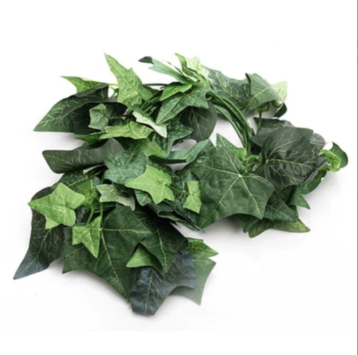 ReptiZoo Boston Ivy Vine 75"