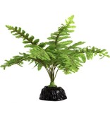 ReptiZoo REPTIZOO RZ-TP015 Fougère de Boston 6"