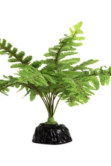 ReptiZoo REPTIZOO RZ-TP015 Fougère de Boston 6"