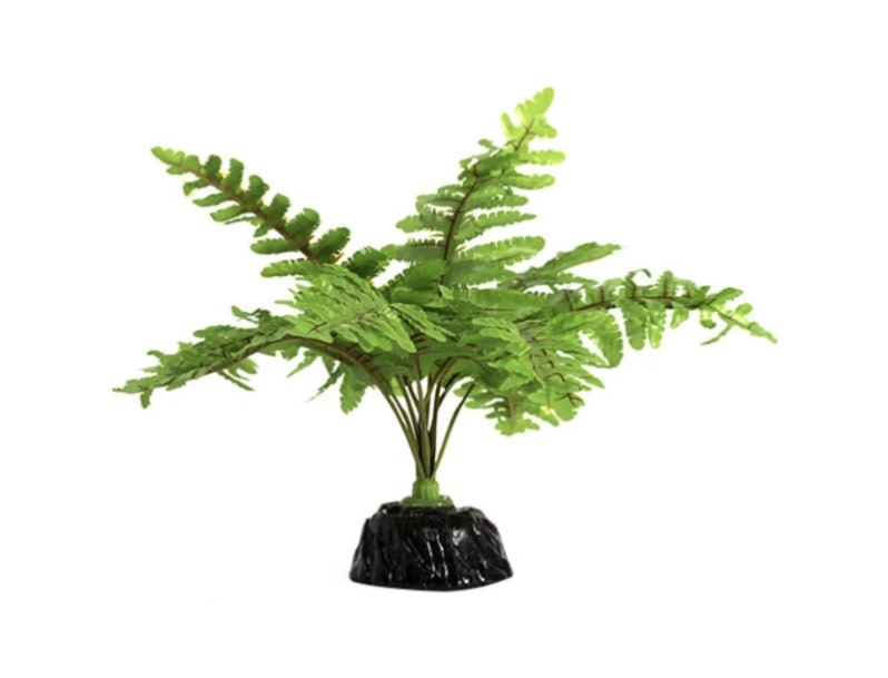 ReptiZoo REPTIZOO RZ-TP015 Fougère de Boston 6"