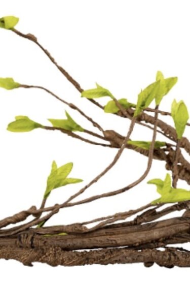 ReptiZoo REPTIZOO RZ-RV0415 Vigne au bord d'une branche