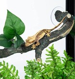 ReptiZoo REPTIZOO RZ-DR08 Branches connectables en 3 pièces - Longueur totale 23"