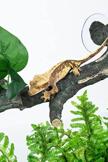 ReptiZoo REPTIZOO RZ-DR08 Branches connectables en 3 pièces - Longueur totale 23"