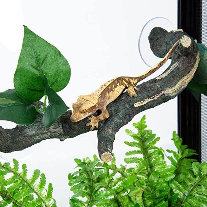 ReptiZoo REPTIZOO RZ-DR08 Branches connectables en 3 pièces - Longueur totale 23"