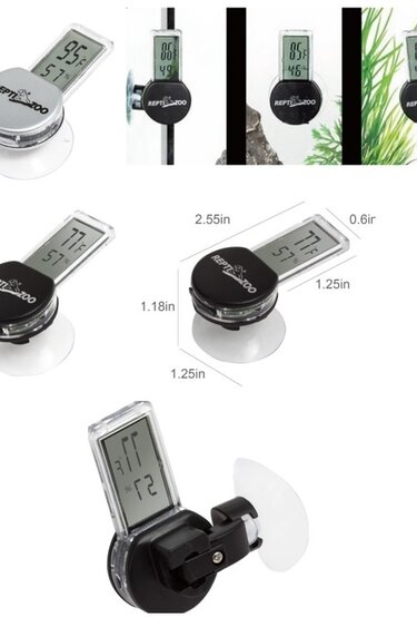 Thermomètre/Hygromètre design pour terrarium - Petits Compagnons