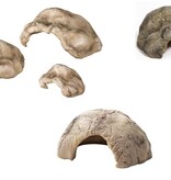 ReptiZoo REPTIZOO Cachette grotte