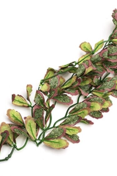 ReptiZoo REPTIZOO Plante suspendu du var marginatum