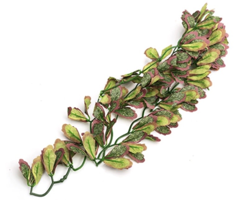 ReptiZoo REPTIZOO Plante suspendu du var marginatum