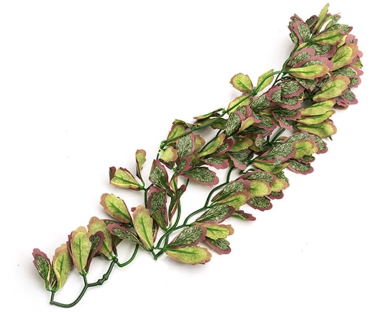 ReptiZoo REPTIZOO Plante suspendu du var marginatum