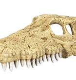 ReptiZoo REPTIZOO Cachette crâne de crocodile