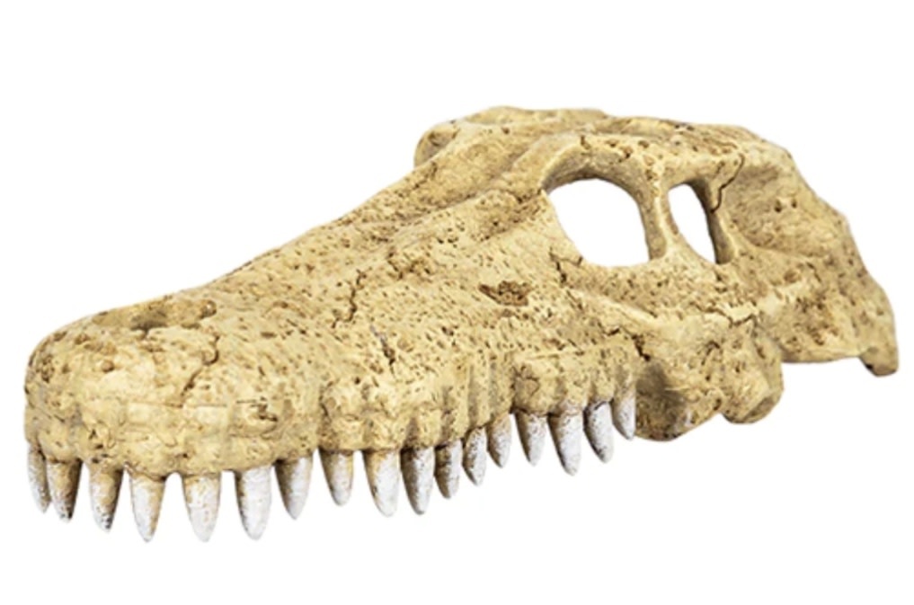 ReptiZoo REPTIZOO Cachette crâne de crocodile