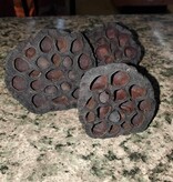 La Swamp Pods  - Lotus pods (3x)