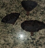 La Swamp Pods  - Lotus pods (3x)