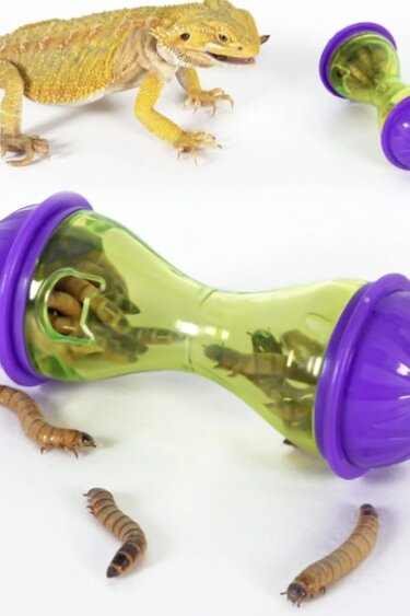 ReptiZoo REPTIZOO RZ-ERB35 Balle récompense d'enrichissement pour reptile