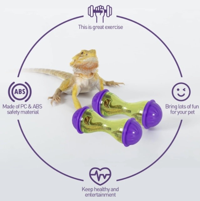 ReptiZoo REPTIZOO RZ-ERB35 Balle récompense d'enrichissement pour reptile