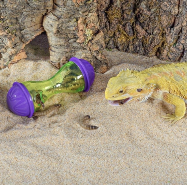 ReptiZoo Balle récompense d'enrichissement pour reptile - Reptile enrichment treat ball