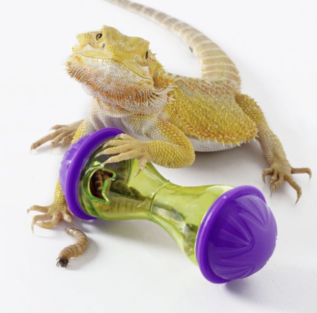 ReptiZoo Balle récompense d'enrichissement pour reptile - Reptile enrichment treat ball