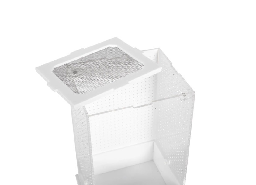 ReptiZoo REPTIZOO Boîte à insectes en acrylique