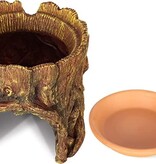 ReptiZoo REPTIZOO RZ-EHR29 Cachette en souche d'arbre avec humidification (avec bol d'eau en céramique)