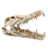 Reptiles treasures Abri en forme de crâne de dinosaure - Dino Skull Shelter
