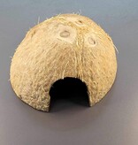 La Swamp Cabane cosses-coco - Pods-coconut hut (noix de coco)