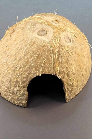 La Swamp Cabane cosses-coco - Pods-coconut hut (noix de coco)