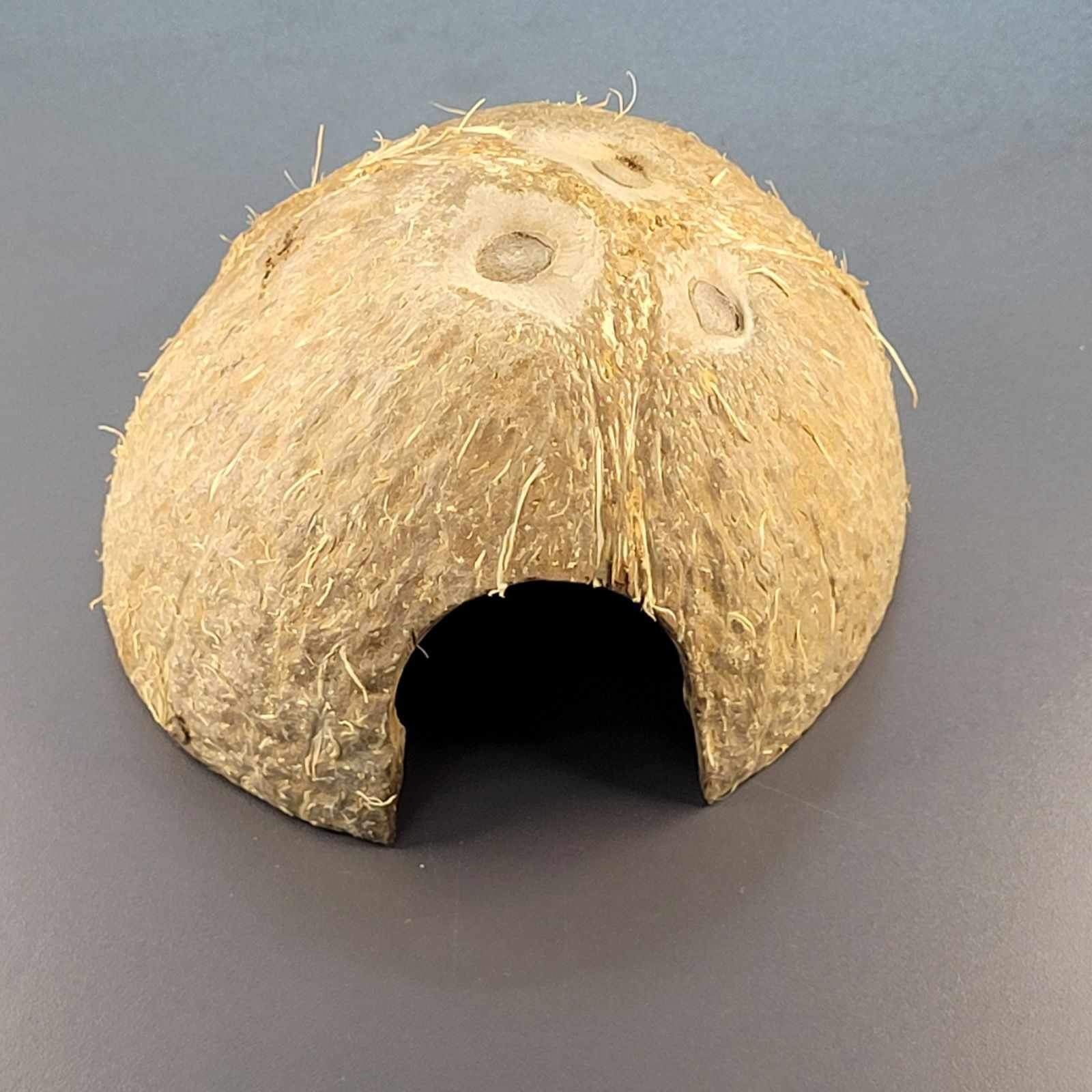 La Swamp Pods-coconut hut