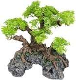 Komodo Bonsai Tree Large with Hide 10" x 10"