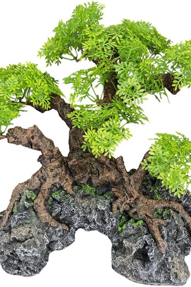 Komodo KOMODO KD-93374 Grand Bonsaï avec cachette 10" x 10"