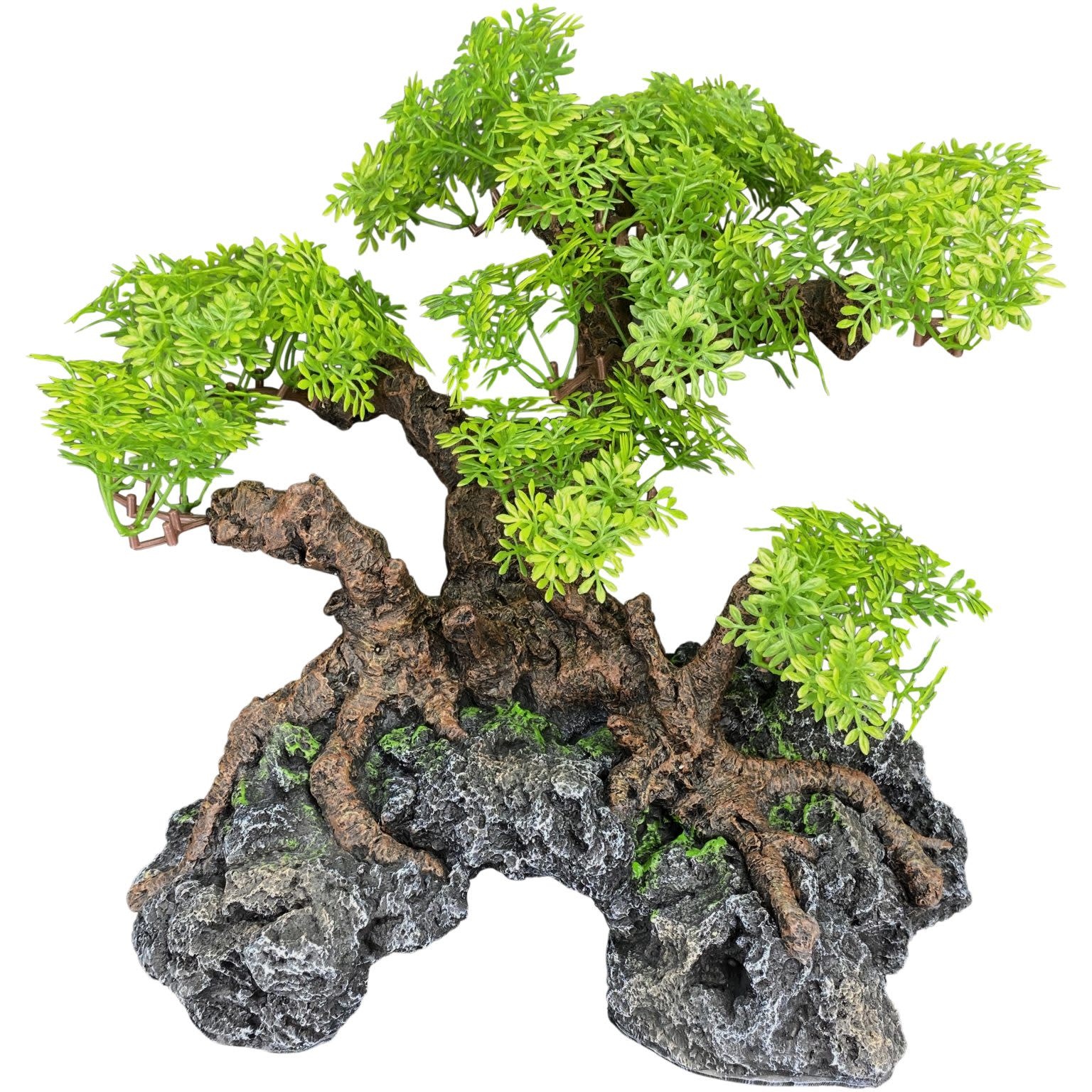 Komodo KOMODO KD-93374 Grand Bonsaï avec cachette 10" x 10"