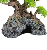 Komodo KOMODO KD-93374 Grand Bonsaï avec cachette 10" x 10"