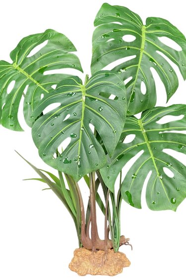 Komodo Monstera Leaf Standing Plant 18.9"