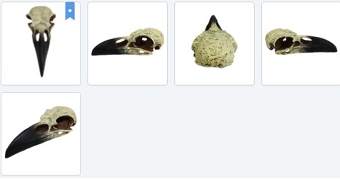 Komodo KOMODO Crâne de corbeau